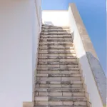Muma House דירה *